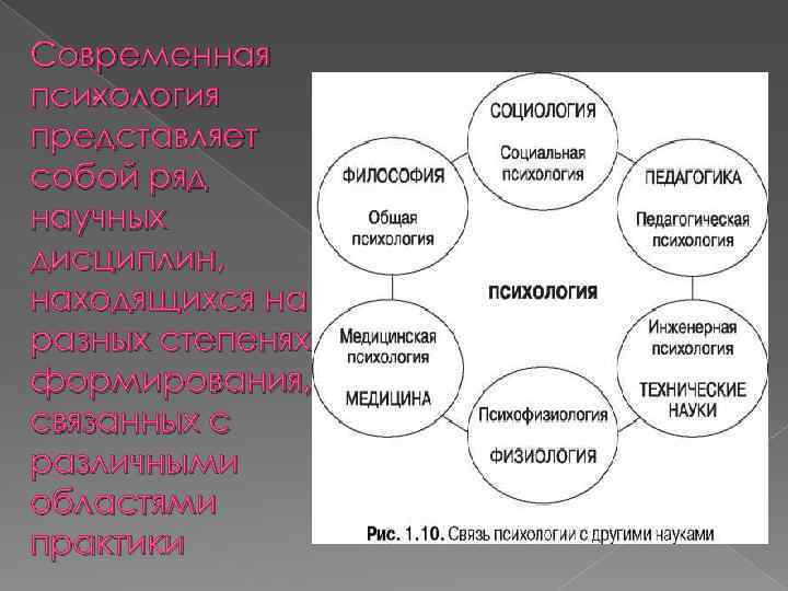 Современная. психология представляет собой ряд научных дисциплин, находящихся на разных степенях формирования, связанных с
