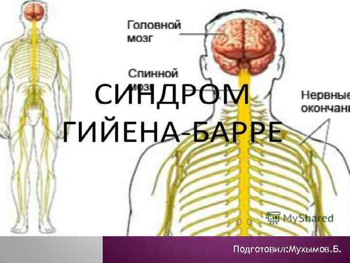 Подготовил: Мухымов. Б. 