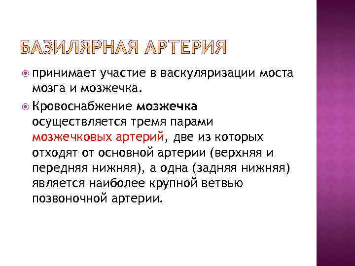  принимает участие в васкуляризации моста мозга и мозжечка. Кровоснабжение мозжечка осуществляется тремя парами