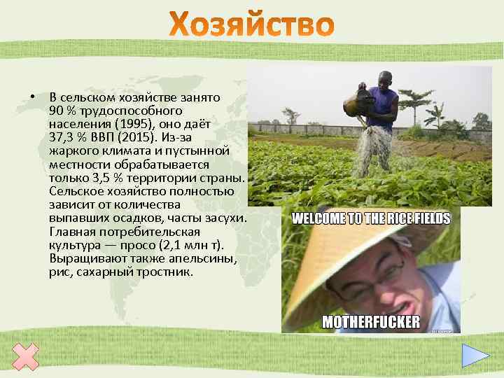  • В сельском хозяйстве занято 90 % трудоспособного населения (1995), оно даёт 37,