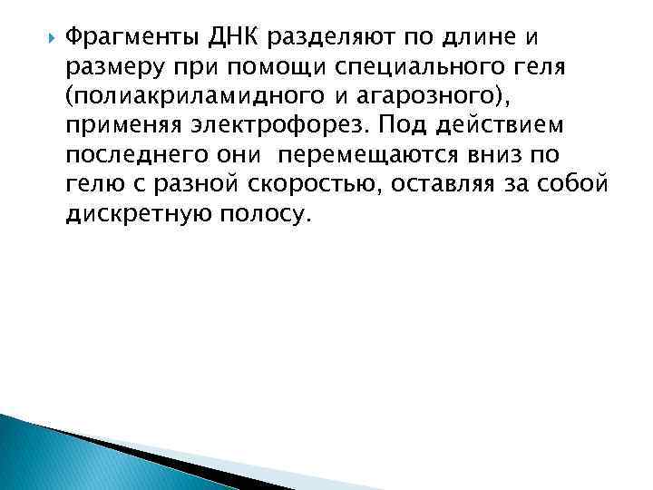  Фрагменты ДНК разделяют по длине и размеру при помощи специального геля (полиакриламидного и