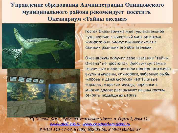 Управление образования Администрации Одинцовского муниципального района рекомендует посетить Океанариум «Тайны океана» Гостей Океанариума ждет