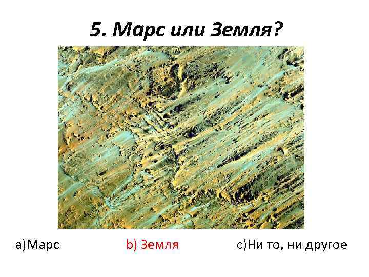 5. Марс или Земля? a)Марс b) Земля c)Ни то, ни другое 