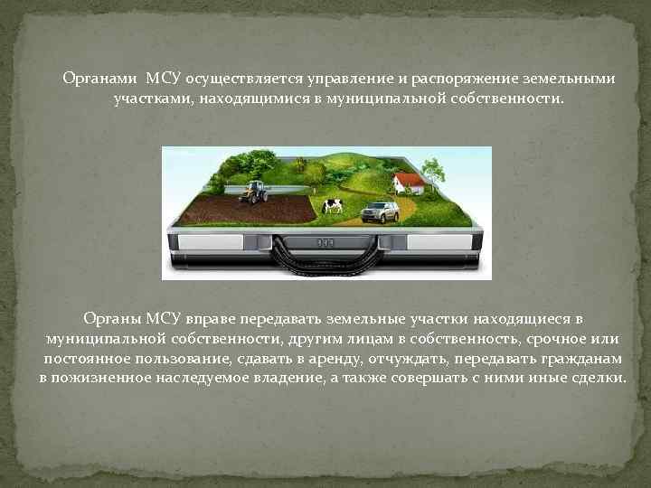 Органами МСУ осуществляется управление и распоряжение земельными участками, находящимися в муниципальной собственности. Органы МСУ