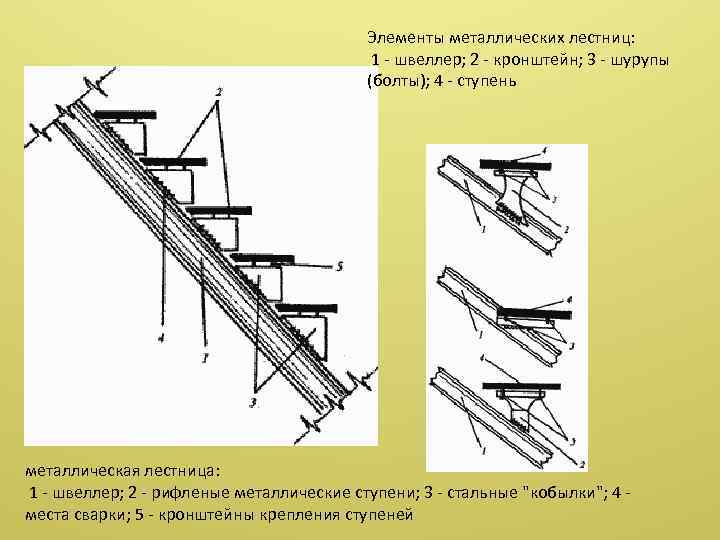 Назовите ступени