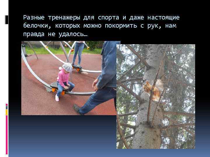 Разные тренажеры для спорта и даже настоящие белочки, которых можно покормить с рук, нам