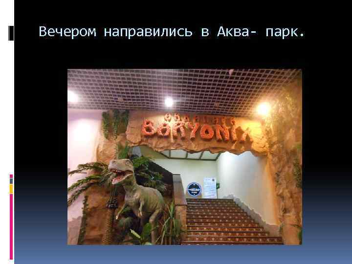 Вечером направились в Аква- парк. 