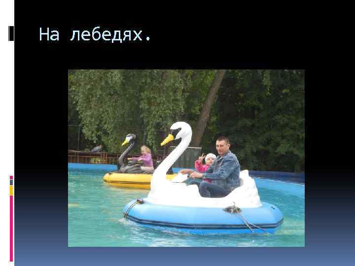 На лебедях. 