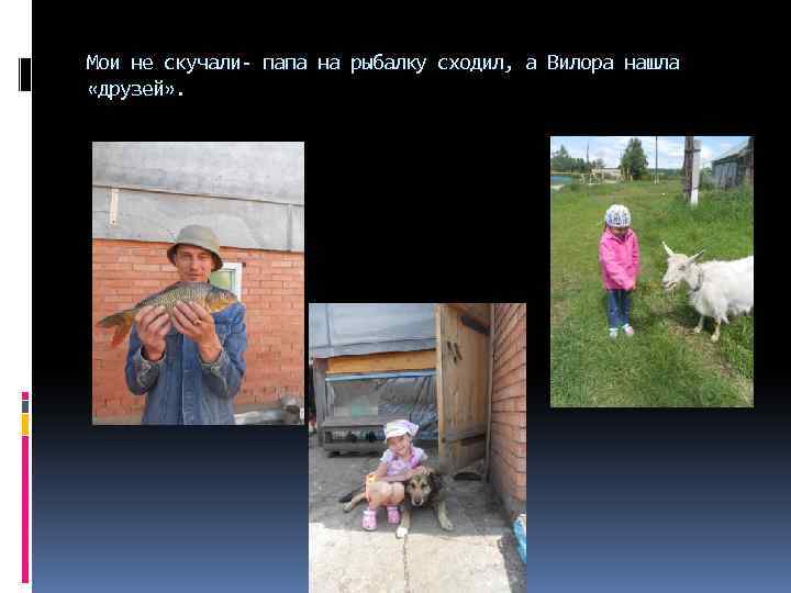 Мои не скучали- папа на рыбалку сходил, а Вилора нашла «друзей» . 