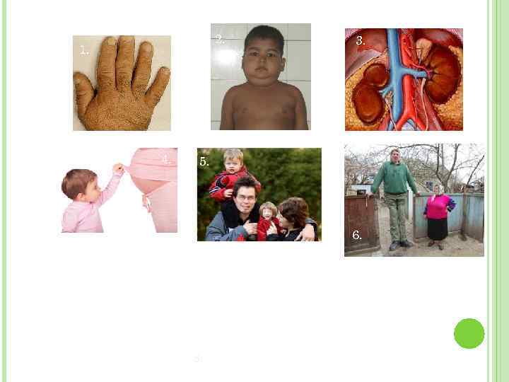 2. 1. 4. 3. 5. 6. 8. 