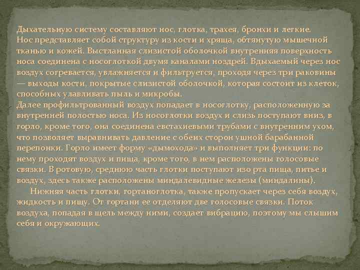 Дыхательную систему составляют нос, глотка, трахея, бронхи и легкие. Нос представляет собой структуру из