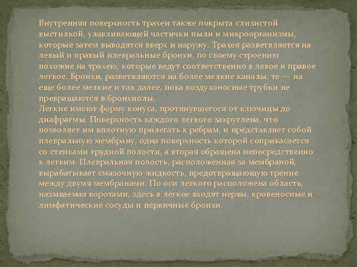 Внутренняя поверхность трахеи также покрыта слизистой выстилкой, улавливающей частички пыли и микроорганизмы, которые затем