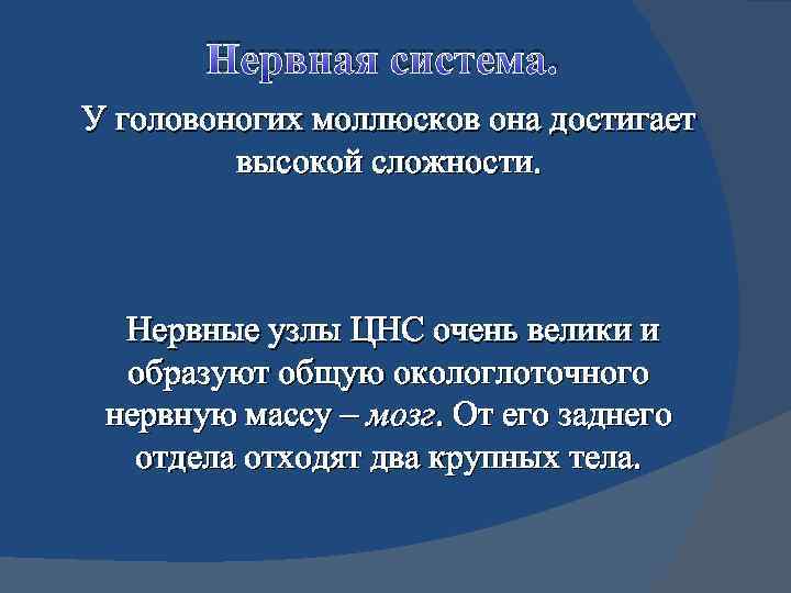 Нервная система. У головоногих моллюсков она достигает высокой сложности. Нервные узлы ЦНС очень велики