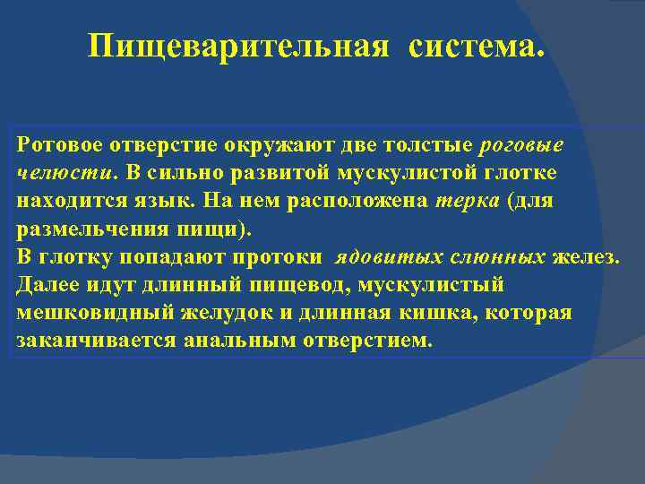 Пищеварительная система. Ротовое отверстие окружают две толстые роговые челюсти. В сильно развитой мускулистой глотке