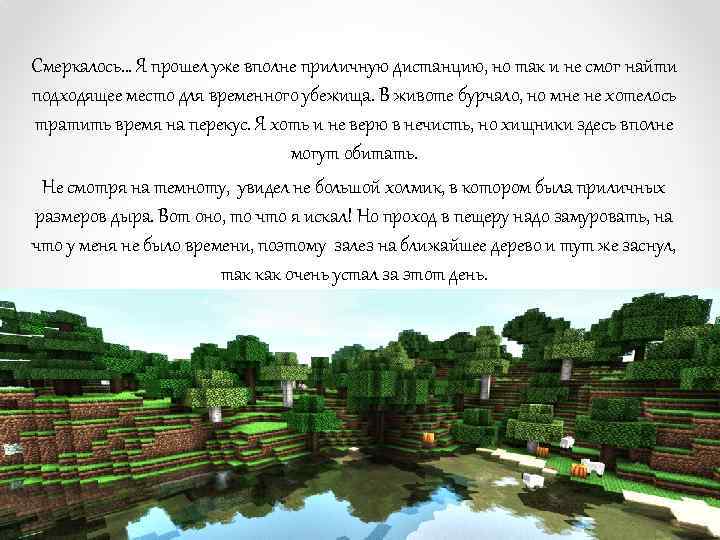 Смеркалось… Я прошел уже вполне приличную дистанцию, но так и не смог найти подходящее