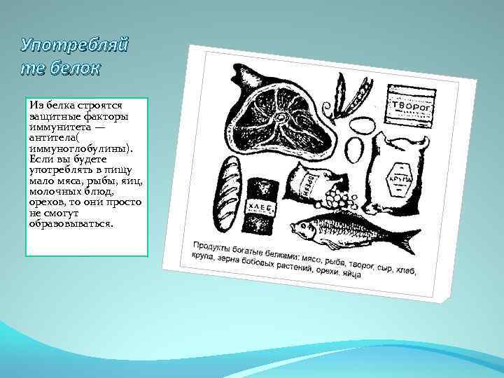 Употребляй те белок Из белка строятся защитные факторы иммунитета — антитела( иммуноглобулины). Если вы