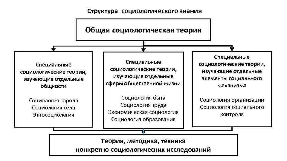 Структура социологического знания Общая социологическая теория Специальные социологические теории, изучающие отдельные общности Специальные социологические