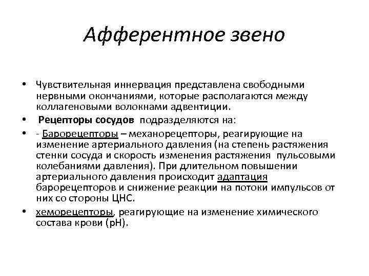 Афферентное звено • Чувствительная иннервация представлена свободными нервными окончаниями, которые располагаются между коллагеновыми волокнами