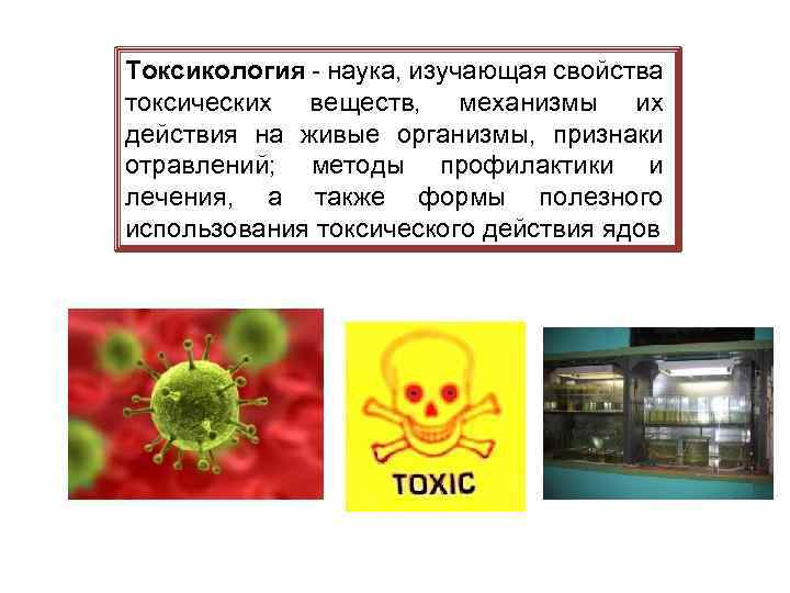 Лекция по теме Токсикокинетика и токсикодинамика отравления животных