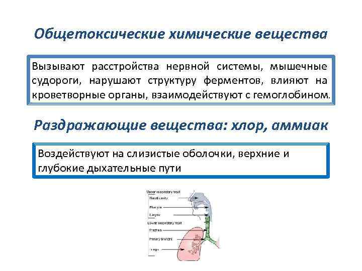 Общетоксические химические вещества Вызывают расстройства нервной системы, мышечные судороги, нарушают структуру ферментов, влияют на