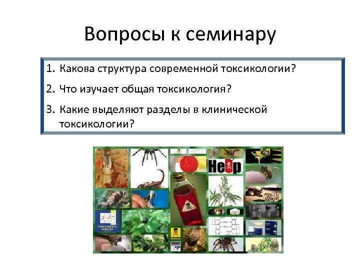 Вопросы к семинару 1. Какова структура современной токсикологии? 2. Что изучает общая токсикология? 3.