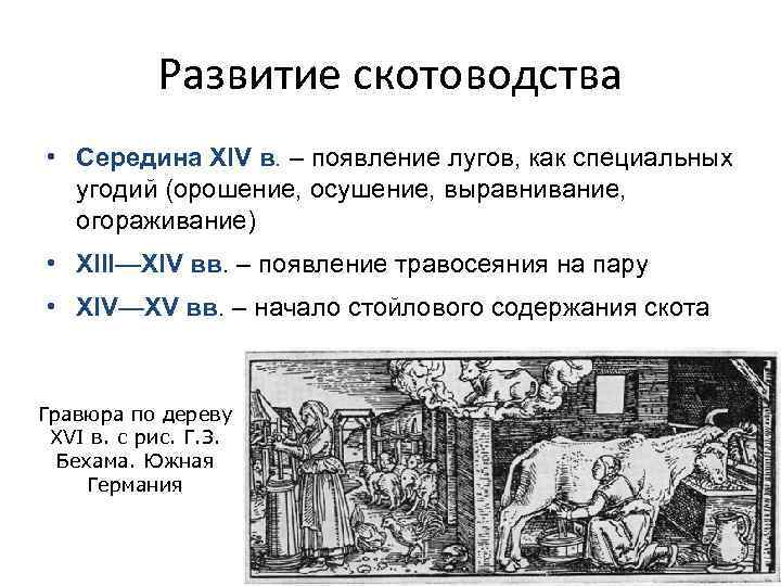Развитие скотоводства • Середина XIV в. – появление лугов, как специальных угодий (орошение, осушение,