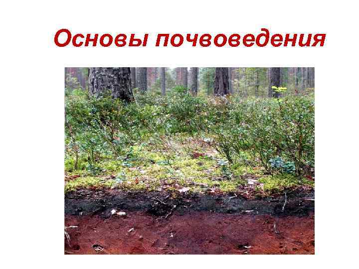 Основы почвоведения 