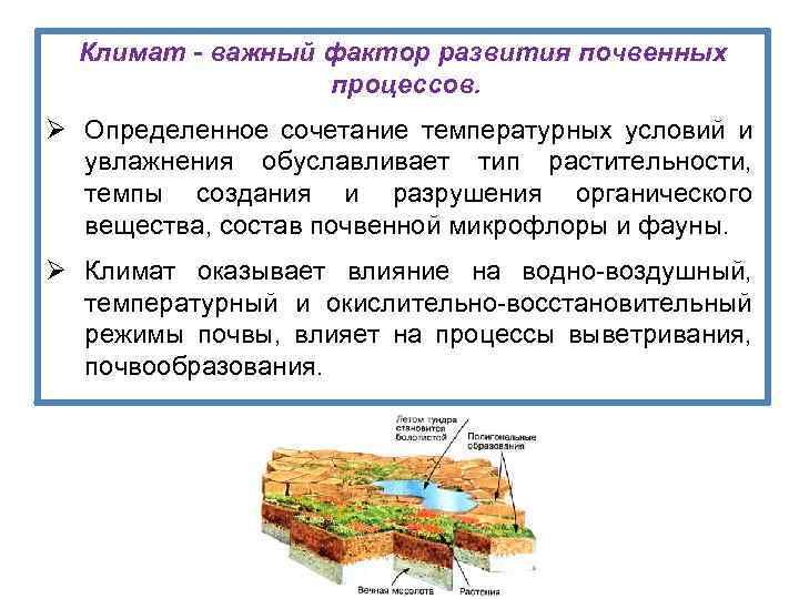 Климат - важный фактор развития почвенных процессов. Ø Определенное сочетание температурных условий и увлажнения