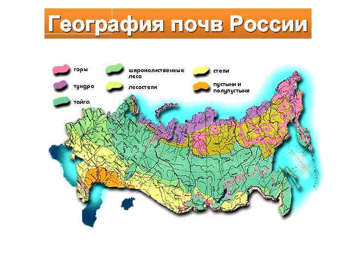 География почв России Учитель географии МБОУ СОШ № 2 п. Гигант Раменская Т. И.