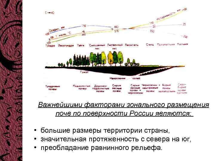 Важнейшими факторами зонального размещения почв по поверхности России являются: • большие размеры территории страны,