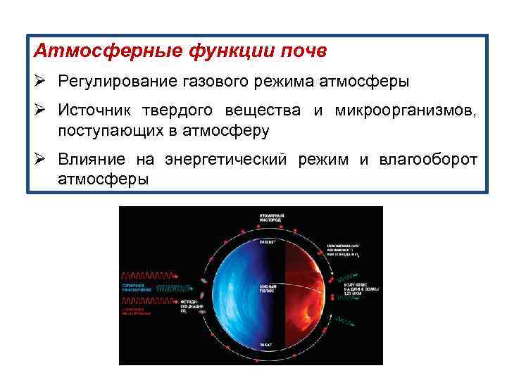 Атмосферные функции почв Ø Регулирование газового режима атмосферы Ø Источник твердого вещества и микроорганизмов,