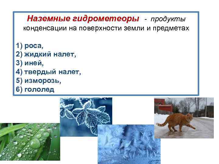 Наземные гидрометеоры ‐ продукты конденсации на поверхности земли и предметах 1) роса, 2) жидкий