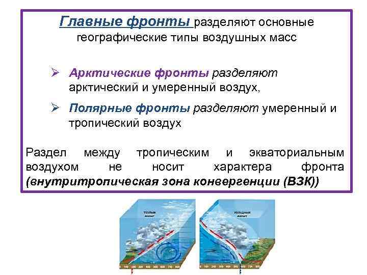 Главные фронты разделяют основные географические типы воздушных масс Ø Арктические фронты разделяют арктический и