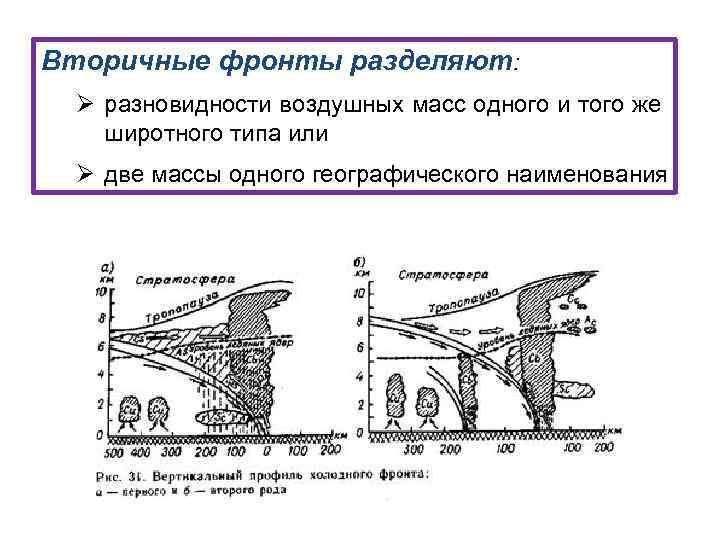 Вторичные фронты разделяют: Ø разновидности воздушных масс одного и того же широтного типа или