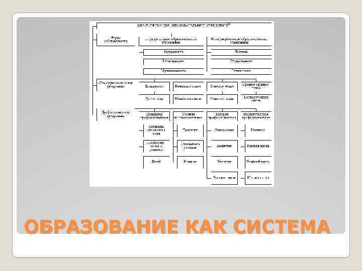 ОБРАЗОВАНИЕ КАК СИСТЕМА 