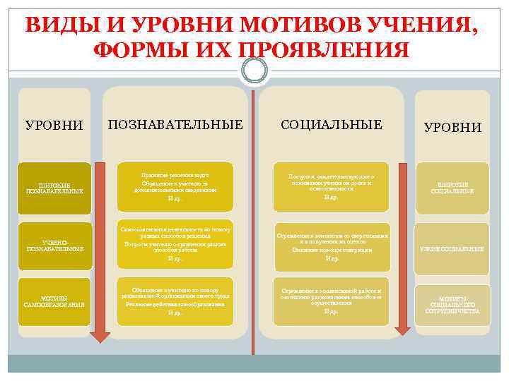 ВИДЫ И УРОВНИ МОТИВОВ УЧЕНИЯ, ФОРМЫ ИХ ПРОЯВЛЕНИЯ УРОВНИ ПОЗНАВАТЕЛЬНЫЕ СОЦИАЛЬНЫЕ УРОВНИ ШИРОКИЕ ПОЗНАВАТЕЛЬНЫЕ