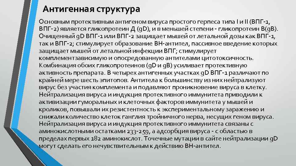 Антигенная структура Основным протективным антигеном вируса простого герпеса типа I и II (ВПГ-1, ВПГ-2)