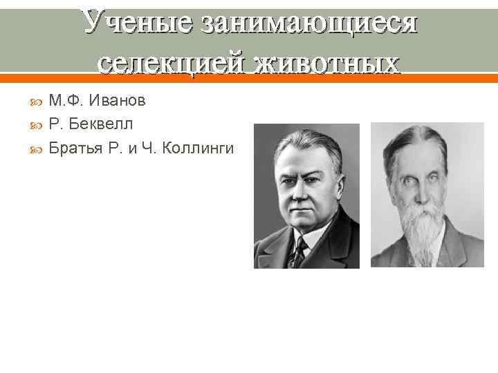 Ученые занимающиеся селекцией животных М. Ф. Иванов Р. Беквелл Братья Р. и Ч. Коллинги