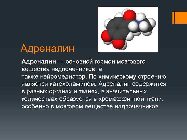 Адреналин презентация по биохимии