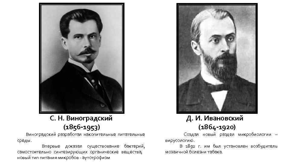 С. Н. Виноградский (1856 -1953) Виноградский разработал накопительные питательные среды. Впервые доказал существование бактерий,