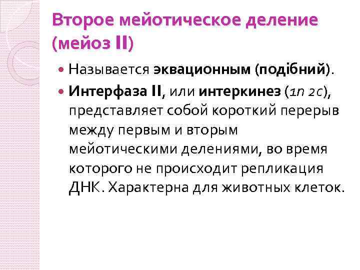 Второе мейотическое деление (мейоз II) Называется эквационным (подібний). Интерфаза II, или интеркинез (1 n