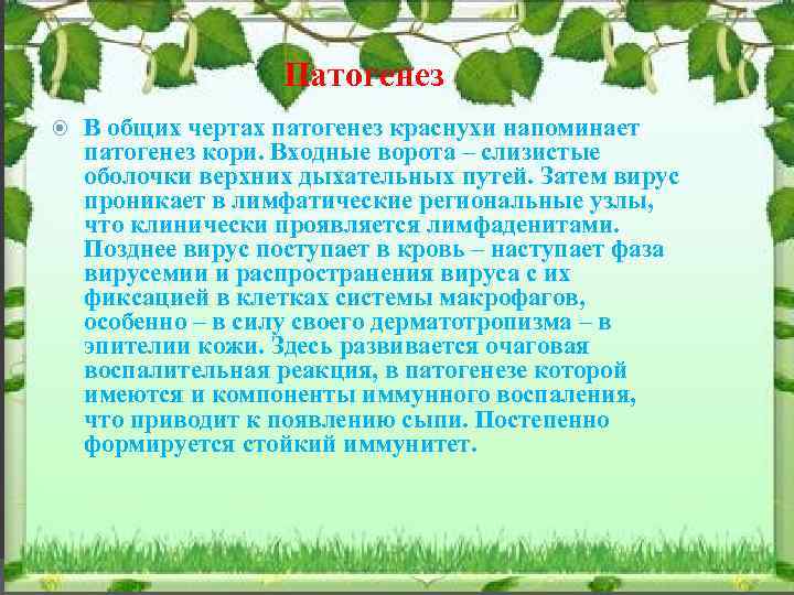 Патогенез В общих чертах патогенез краснухи напоминает патогенез кори. Входные ворота – слизистые оболочки