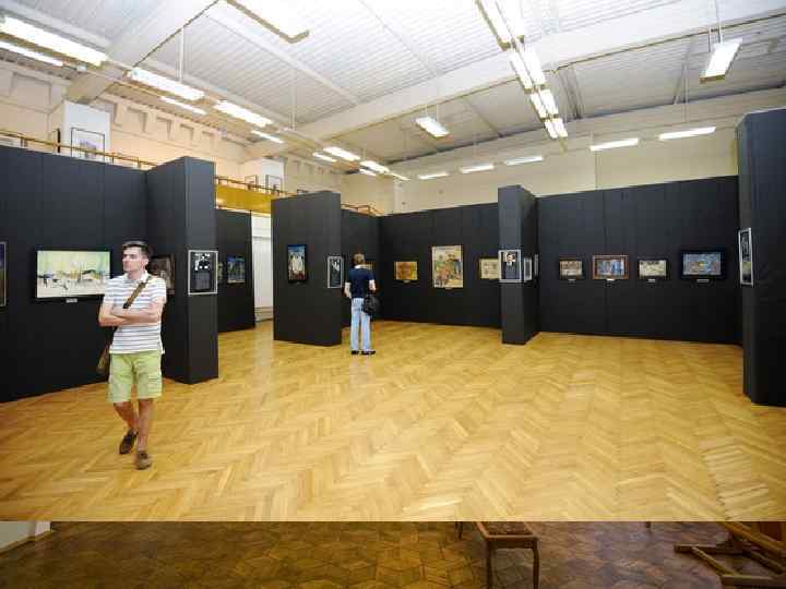 Старейшими в собрании музея являются коллекции древнеегипетских памятников и античного искусства. Собрание отечественного изобразительного