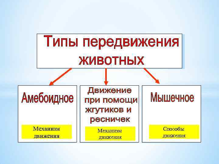Механизм движения Способы движения 