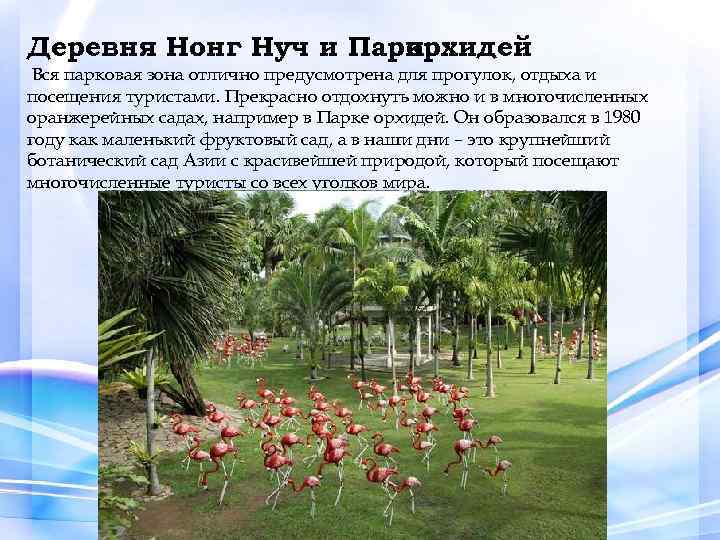 Деревня Нонг Нуч и Парк орхидей Вся парковая зона отлично предусмотрена для прогулок, отдыха