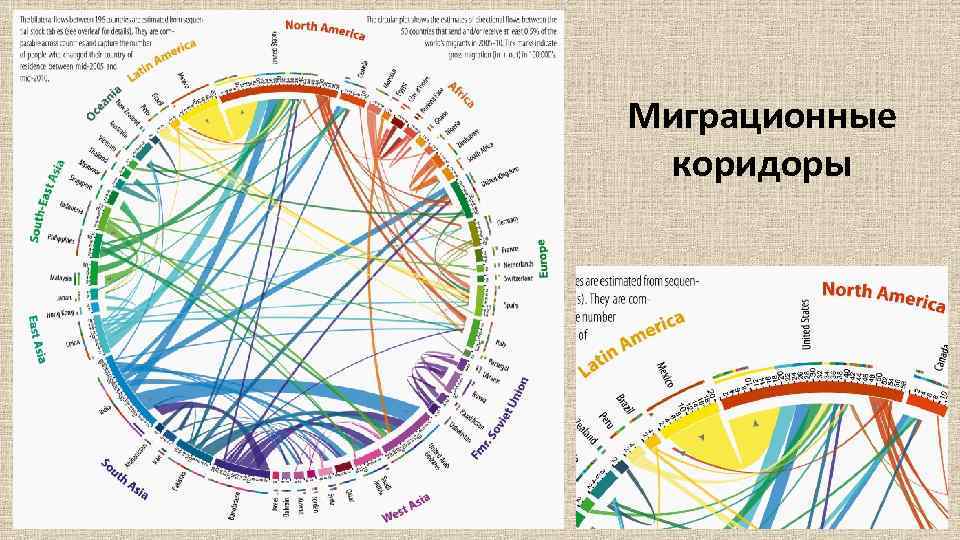 Миграционные коридоры 