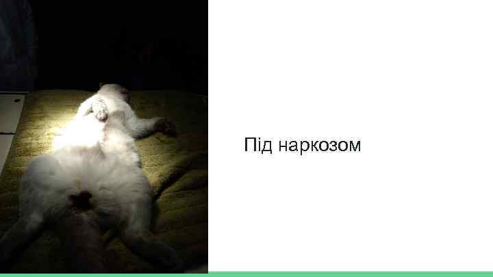 Під наркозом 