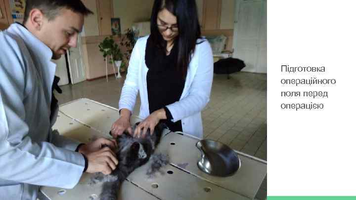 Підготовка операційного поля перед операцією 