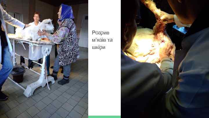 Розрив м’язів та шкіри 