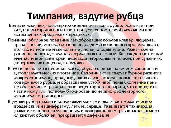 Тимпания, вздутие рубца Болезнь жвачных, чрезмерное скопление газов в рубце. Возникает при отсутствии отрыгивания